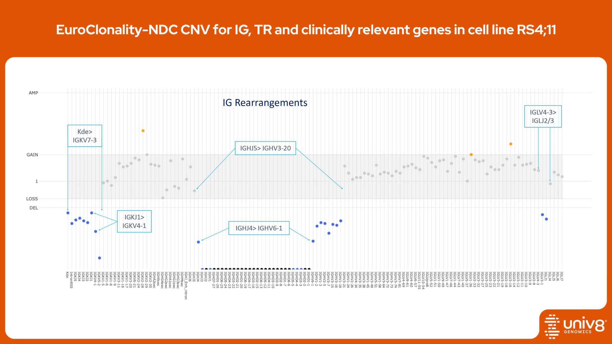Immunoglobulin rearrangements chart
