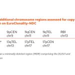 List of additional chromosome regions assessed for copy number variation on EuroClonality-NDC